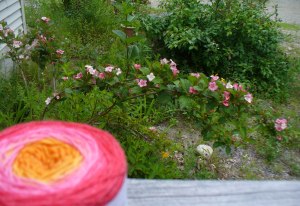 blurry-yarn-2-for-web